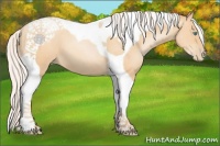 Horse Color:Silver Amber Champagne Pearl Tobiano 