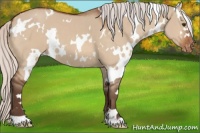 Horse Color:White Spotted Silver Brown Dun Varnish