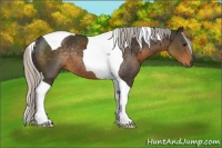 Horse Color:Silver Smoky Black Tobiano Rabicano