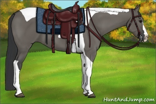 Horse Color:Grullo Splash Tobiano