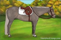 Horse Color:Silver Black 