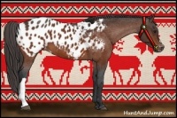 Horse Color:Bay Appaloosa 