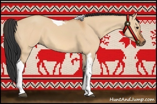 Horse Color:Bay Dun Tobiano