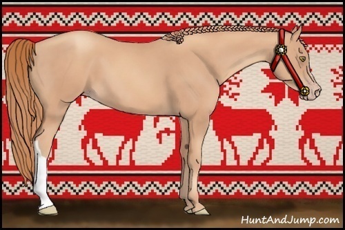 Horse Color:Gold Champagne 