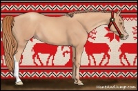 Horse Color:Gold Champagne