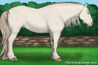 Horse Color:Smoky Creme Dun Sabino Rabicano 