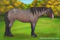 Horse Color:Brown Roan Splash Varnish 