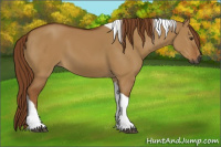 Horse Color:Gray Red Dun Tobiano
