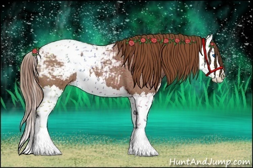 Horse Color:Red Roan Splash Snowcap 