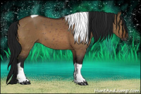 Horse Color:Gray Bay Dun Tobiano 