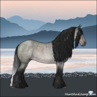 Horse Color:Gray Platinum Brown Roan Dun 