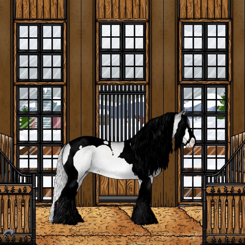 Horse Color:Silver Bay Chinchilla Dun Splash Tobiano