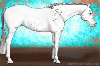 Horse Color:White Spotted Liver Chestnut 