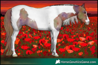 Horse Color:Nacre Chestnut Tobiano 