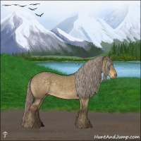 Horse Color:Chocolate Palomino Dun Mushroom Rabicano 