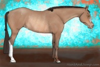 Horse Color:Sable Champagne Appaloosa Rabicano 