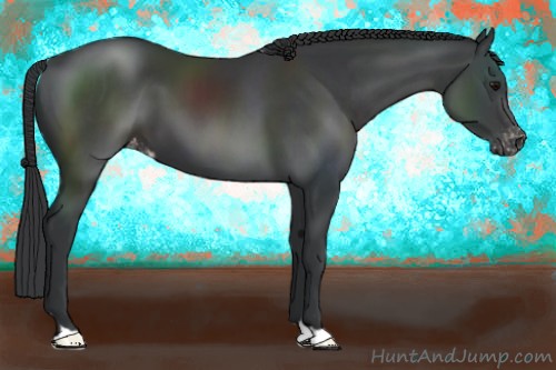 Horse Color:Black Varnish 