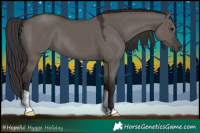 Horse Color:Smoky Grullo 