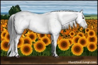 Horse Color:Black Sabino 