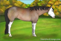 Horse Color:Brown Splash 