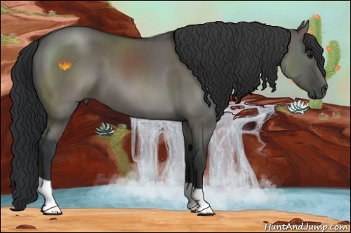Horse Color:Grullo