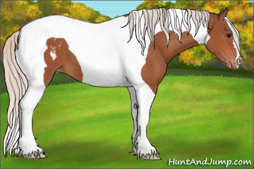 Horse Color:Silver Bay Tobiano Varnish 