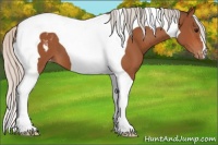 Horse Color:Silver Bay Tobiano Varnish 