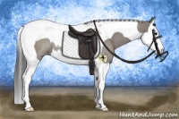 Horse Color:Grullo Splash Tobiano Rabicano