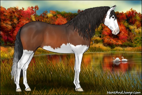 Horse Color:Brown Splash