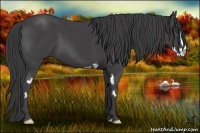 Horse Color:Smoky Black Sabino Frame