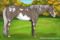 Horse Color:White Spotted Silver Smoky Black Splash Frame 