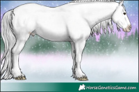 Horse Color:Platinum Chocolate Silver Brown Snowflake Varnish