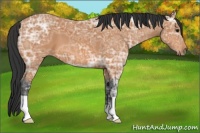 Horse Color:Bay Ice 