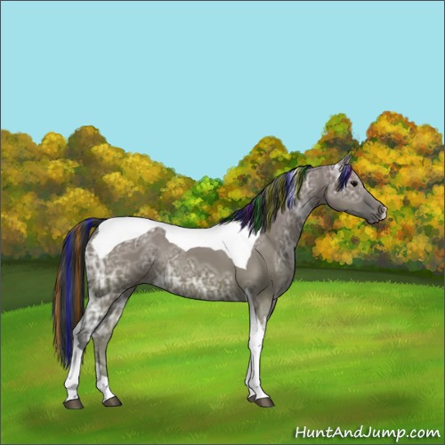 Horse Color:Painted Grullo Ice Tobiano 