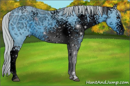 Horse Color:ERROR: UNKNOWN ANOMALY