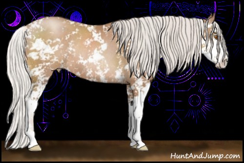 Horse Color:Silver Black Pearl Sabino Rabicano 