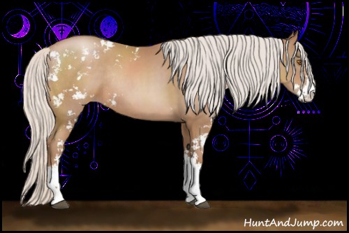 Horse Color:Silver Black Pearl Sabino Rabicano