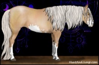 Horse Color:Silver Black Pearl Sabino 