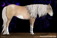 Horse Color:Silver Black Pearl Sabino