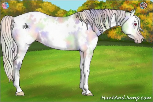 Horse Color:Nacre White Spotted Silver Sable Champagne Chinchilla Onyx 