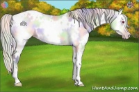Horse Color:Nacre White Spotted Silver Sable Champagne Chinchilla Onyx 