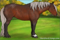Horse Color:Silver Brown 