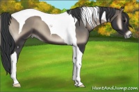 Horse Color:Blue Onyx Tobiano 