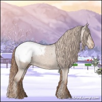 Horse Color:Chestnut Appaloosa