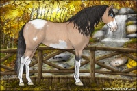 Horse Color:Bay Roan Splash Frame Varnish
