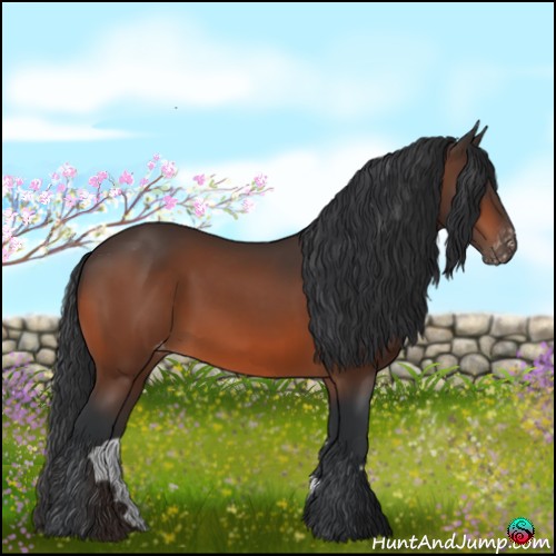 Horse Color:Bay Appaloosa Rabicano 