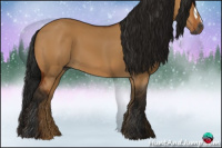 Horse Color:Gray Bay Dun