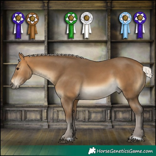 Horse Color:Silver Buckskin 