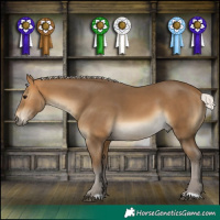 Horse Color:Silver Buckskin 