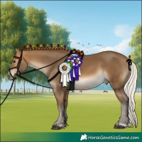 Horse Color:Silver Buckskin 